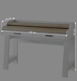 Wohnen PC Schreibtisch & Rollcontainer - Mehady (zweiteilig)