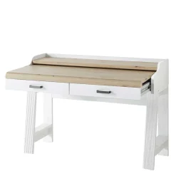 Wohnen PC Schreibtisch & Rollcontainer - Mehady (zweiteilig)