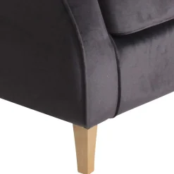 Wohnen Graue Möbel*Polstersessel mit Ohren in Anthrazit - Pyra