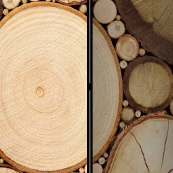 Wohnen Raumteiler mit Fotodruck Baumscheiben - Siska