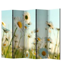 Wohnen Paravents*Raumteiler Paravent mit Foto Gänseblümchen - Lipari