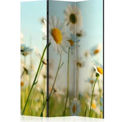 Wohnen Paravents*Raumteiler Paravent mit Foto Gänseblümchen - Lipari
