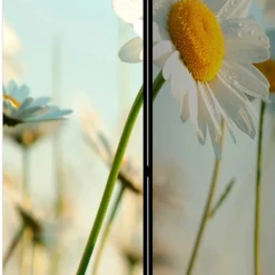 Wohnen Paravents*Raumteiler Paravent mit Foto Gänseblümchen - Lipari