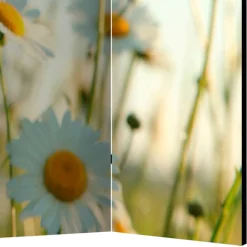 Wohnen Paravents*Raumteiler Paravent mit Foto Gänseblümchen - Lipari