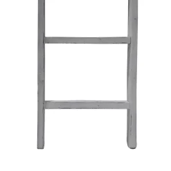 Wohnen Esszimmerregale|Regale*Regal Tanta in Leiterform