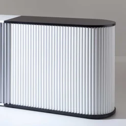 Wohnen Rolloschrank Reanel in Weiß