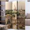 Wohnen Wohnzimmer-Regale*Rom Fotomotiv Paravent Stadt & Petersdom - Penanza