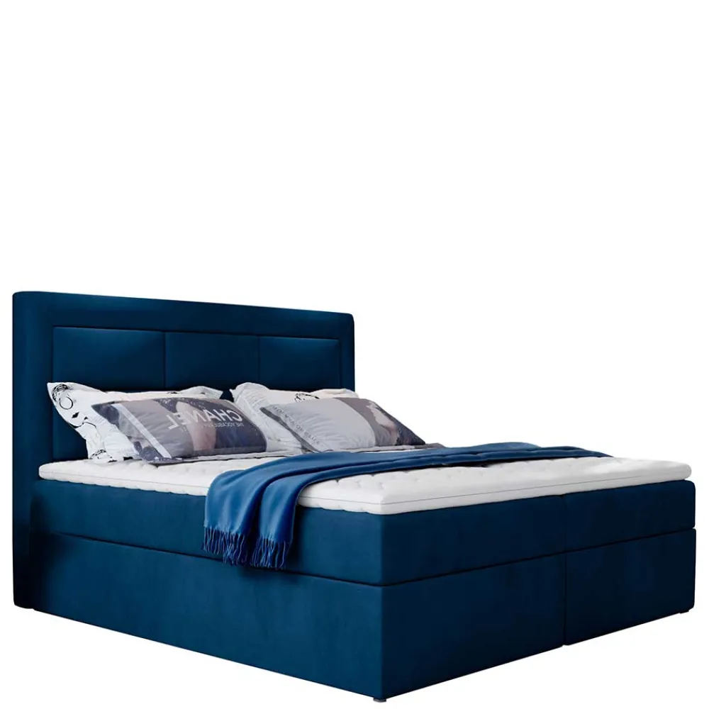 Wohnen Samt-Boxbett in Dunkelblau - Kean