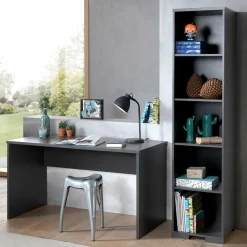 Wohnen Schreibtisch & Regal im Set - Navlius (zweiteilig)