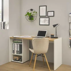 Wohnen Bürotische*Schreibtisch & Regal Kombi - Nonessia (zweiteilig)