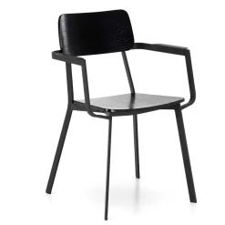 Wohnen Esszimmerstühle|Wohnzimmerstühle*Schwarze Designstühle mit Armlehnen - Lejadro (4er Set)