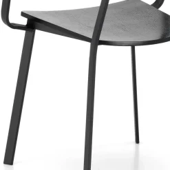 Wohnen Esszimmerstühle|Wohnzimmerstühle*Schwarze Designstühle mit Armlehnen - Lejadro (4er Set)