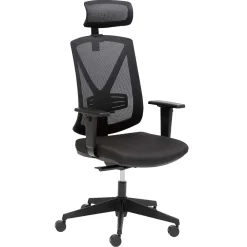 Wohnen Schwarzer Schreibtischsessel mit Lordosenstütze - Drike