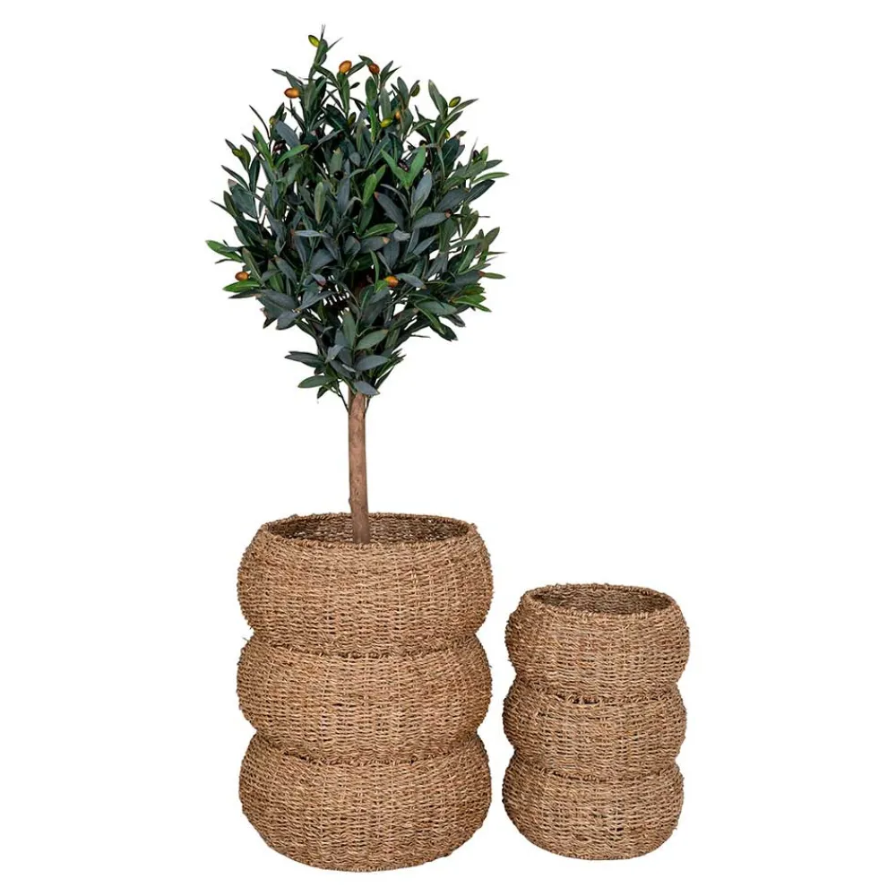 Wohnen Seegras Körbe im Landhausstil - Lottessa (zweiteilig)