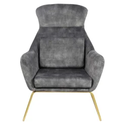 Wohnen Graue Möbel|Sessel & Hocker*Sessel in Grau Samtvelours & Messing Metall - Henrics