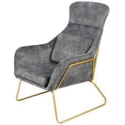 Wohnen Graue Möbel|Sessel & Hocker*Sessel in Grau Samtvelours & Messing Metall - Henrics