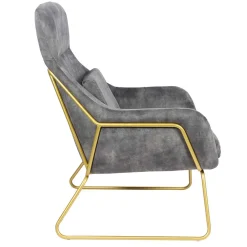 Wohnen Graue Möbel|Sessel & Hocker*Sessel in Grau Samtvelours & Messing Metall - Henrics