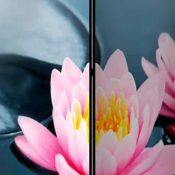 Wohnen Wohnzimmer-Regale|Paravents*Spanischer Raumteiler mit Foto Rosa Seerose - Emek