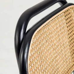 Wohnen Rattanmöbel*Stühle aus Ulme & Rattan & Stoff - Boxtan (2er Set)