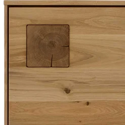 Wohnen Esszimmer-Vitrinen|Esszimmerschränke*1-türige Highboard Vitrine aus Wildeiche - Millena