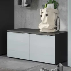 Wohnen 2-türige Schuhbank in Silbergrau Glas - Ilfred
