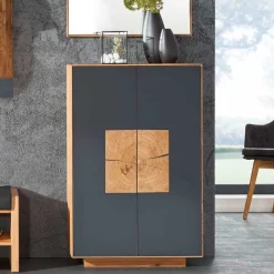 Wohnen Schuhschränke*2-türige Schuhkommode in Anthrazit Glas - Mandrey