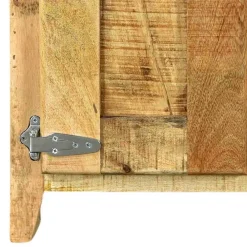 Wohnen 2-türiger Design Dielenschrank aus Mangobaum - Suennas
