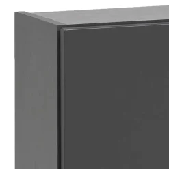 Wohnen Schränke*1-türiger Hängeschrank in Dunkelgrau - Agiruan