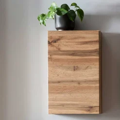 Wohnen 1-türiger Hängeschrank in Wildeiche Dekor - Iliam