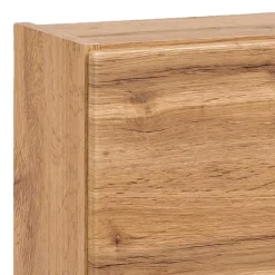 Wohnen 1-türiger Hängeschrank in Wildeiche Dekor - Iliam