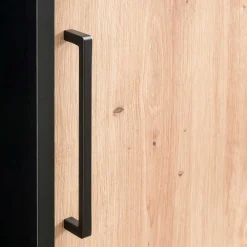 Wohnen 1-türiger Officeschrank in modernem Design - Evasilica