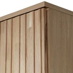 Wohnen Skandinavische Möbel|Esszimmer-Vitrinen*2-türiger Schrank in Eiche & Schwarz - Banyo