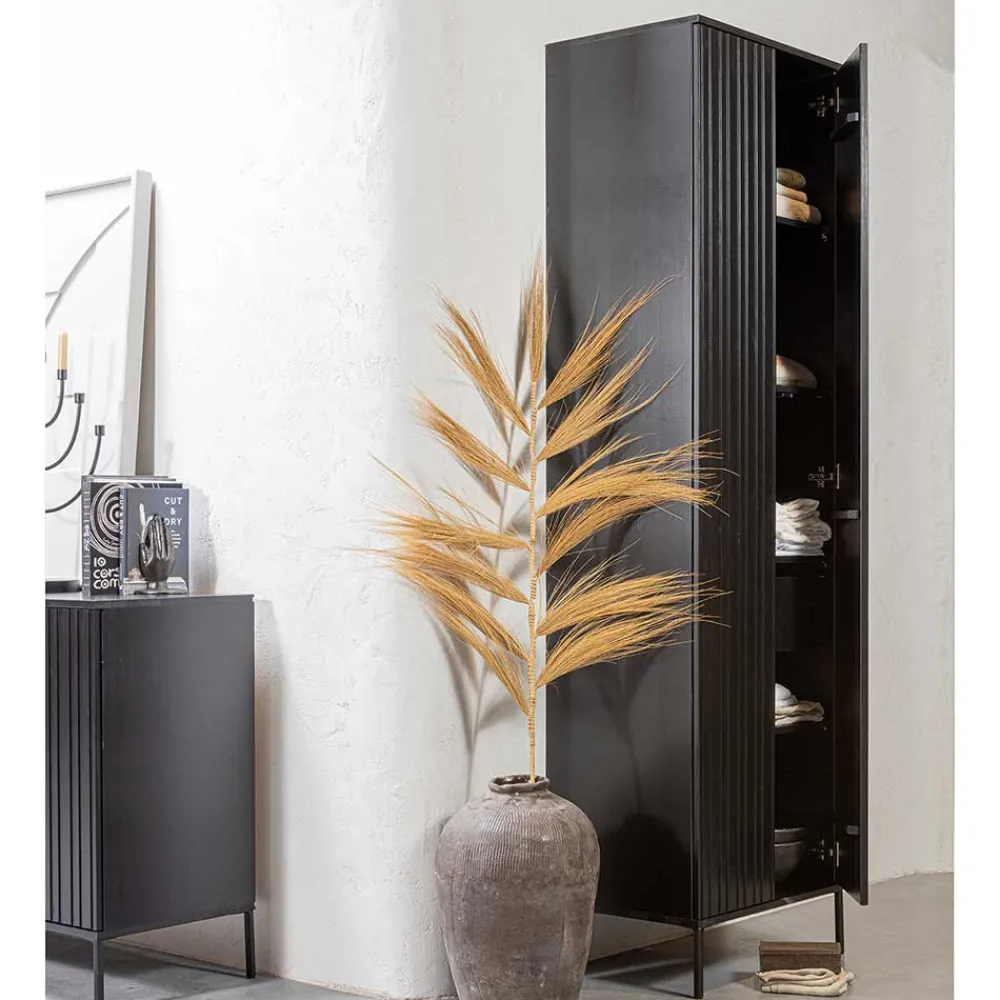 Wohnen 2-türiger Schrank in Schwarz - Gelvins