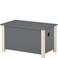 Wohnen Kindermöbel*Truhe mit flachem Deckel - Bradley