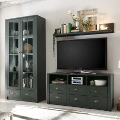 Wohnen TV Anbauwand in Dunkelgrün - Niestov (dreiteilig)