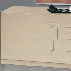 Wohnen TV Möbel Kombi in Esche hell - Odillava (dreiteilig)