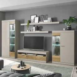 Wohnen TV Wohnwand in Hellgrau & Zinneiche - Lioscas (fünfteilig)