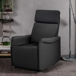 Wohnen Sessel & Hocker|Sessel*TV Wohnzimmersessel in Anthrazit - Zalona