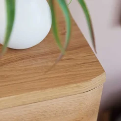 Wohnen Vertiko Schuhkommode aus Balkeneiche - Mabasa