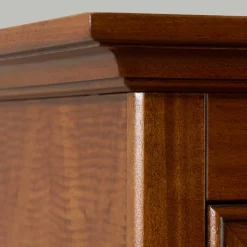 Wohnen Vitrinen|Wohnzimmer-Vitrinen*Vitrine in Walnuss Braun - Istefanio