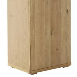 Wohnen Vitrine in Wildeiche teilmassiv - Dagmy