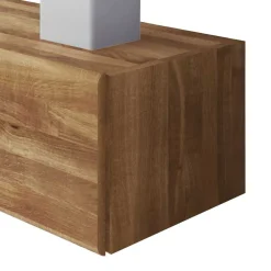 Wohnen Wildeiche Hängeschrank Vaskov massiv geölt