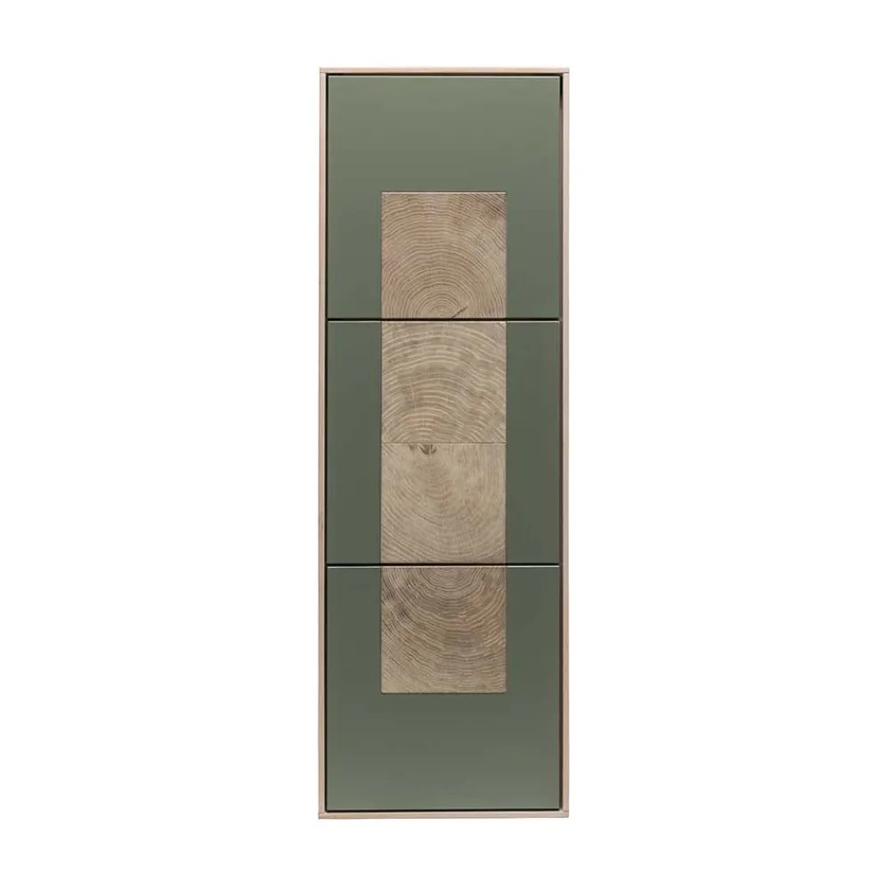 Wohnen Wohnraum Hängeschrank zweifarbig - Ajevos