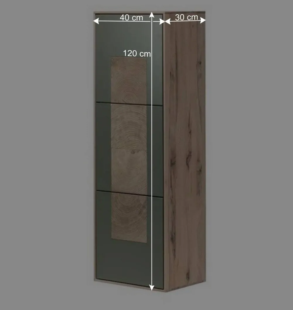 Wohnen Wohnraum Hängeschrank zweifarbig - Ajevos