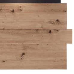 Wohnen Wohnzimmer TV Anbauwand in Wildeiche - Kuetra (dreiteilig)