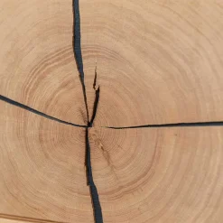 Wohnen Wohnzimmerschränke|Vitrinen*Wohnzimmerschrank aus Eiche und Glas - Masicuri