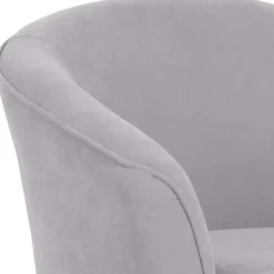 Wohnen Wohnzimmersessel aus Velours Silbergrau - Bekunion
