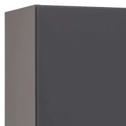 Wohnen 40x185x35 Bad Hochschrank in Grau mit Wildeiche - Agiruan
