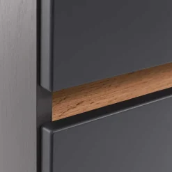 Wohnen 40x185x35 Bad Hochschrank in Grau mit Wildeiche - Agiruan