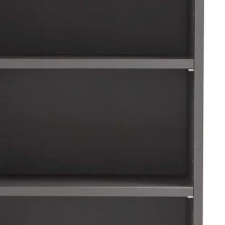 Wohnen 40x185x35 Bad Hochschrank in Grau mit Wildeiche - Agiruan